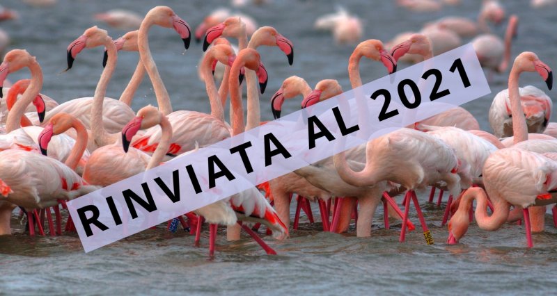 Fiera Internazionale del Birdwatching - RINVIATA AL 2021