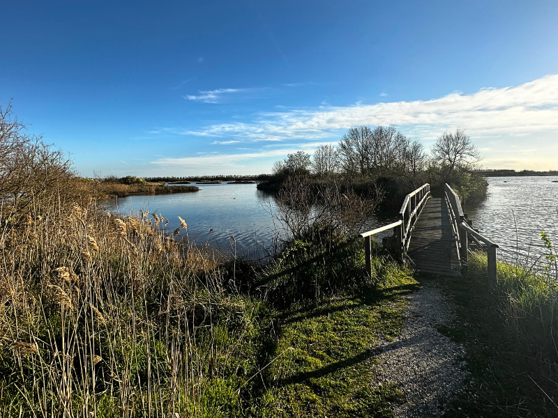 Parco del Delta