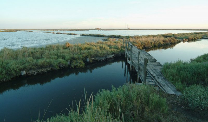 Po Delta Park
