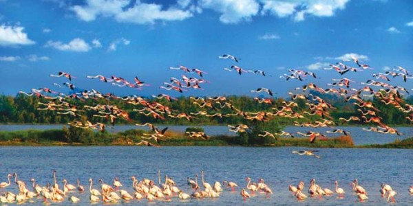 Vacances nature dans le parc du delta du Pô