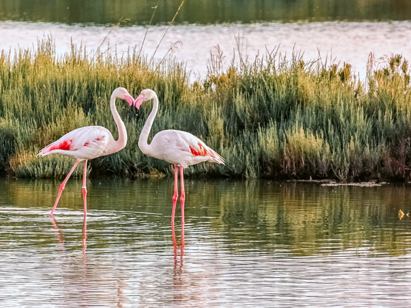 È tempo di… un weekend per noi