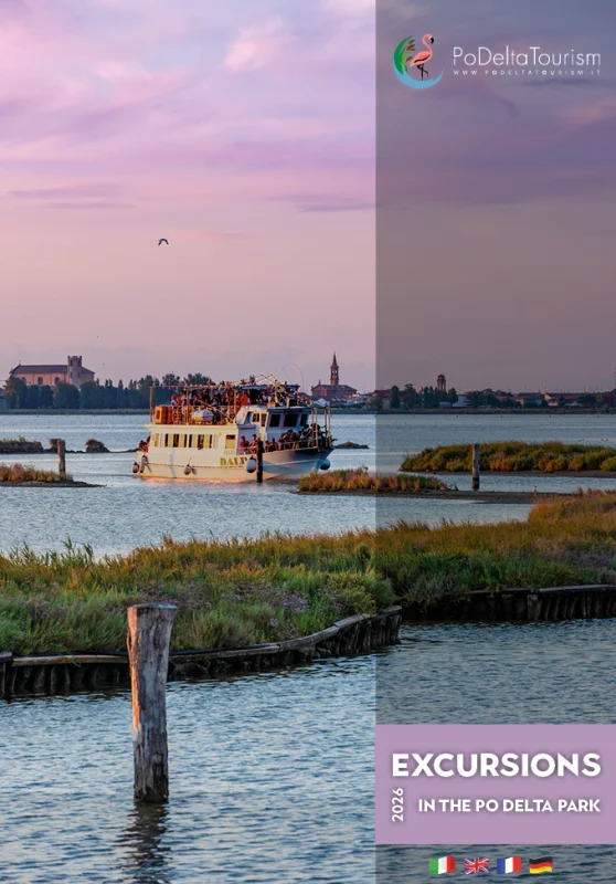 Excursions 2026 : votre prochaine expérience commence ici !