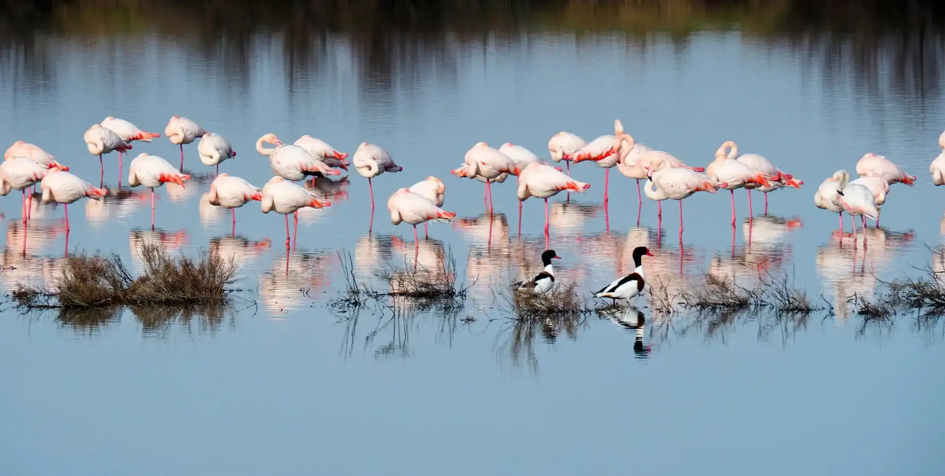 Il Parco del Delta