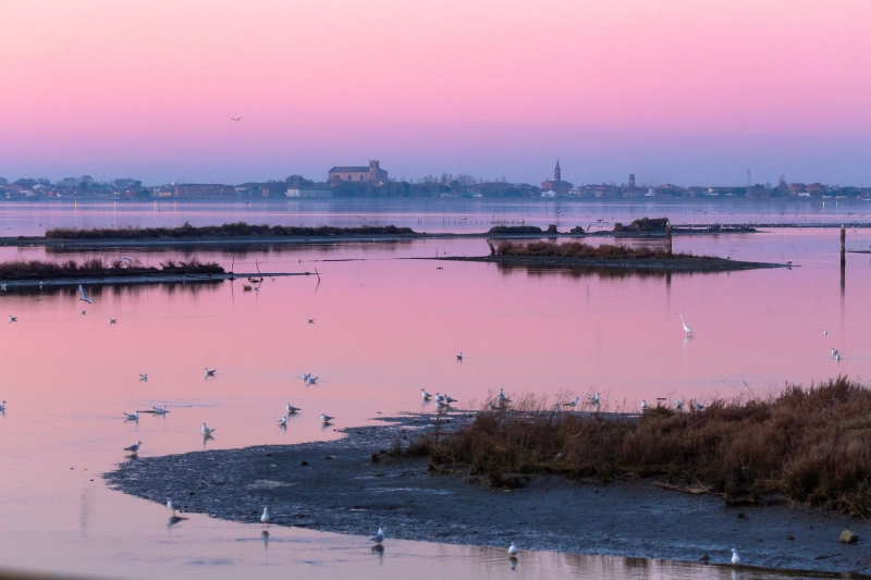 Die Lagune von Comacchio