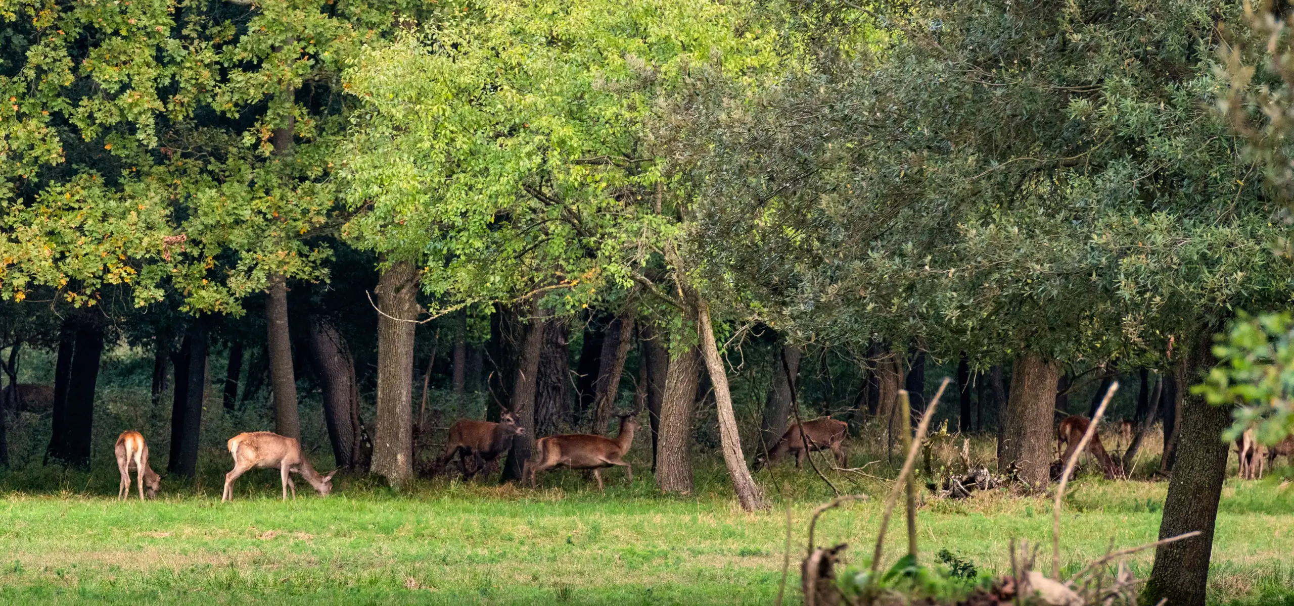 Intraprese Fotografiche