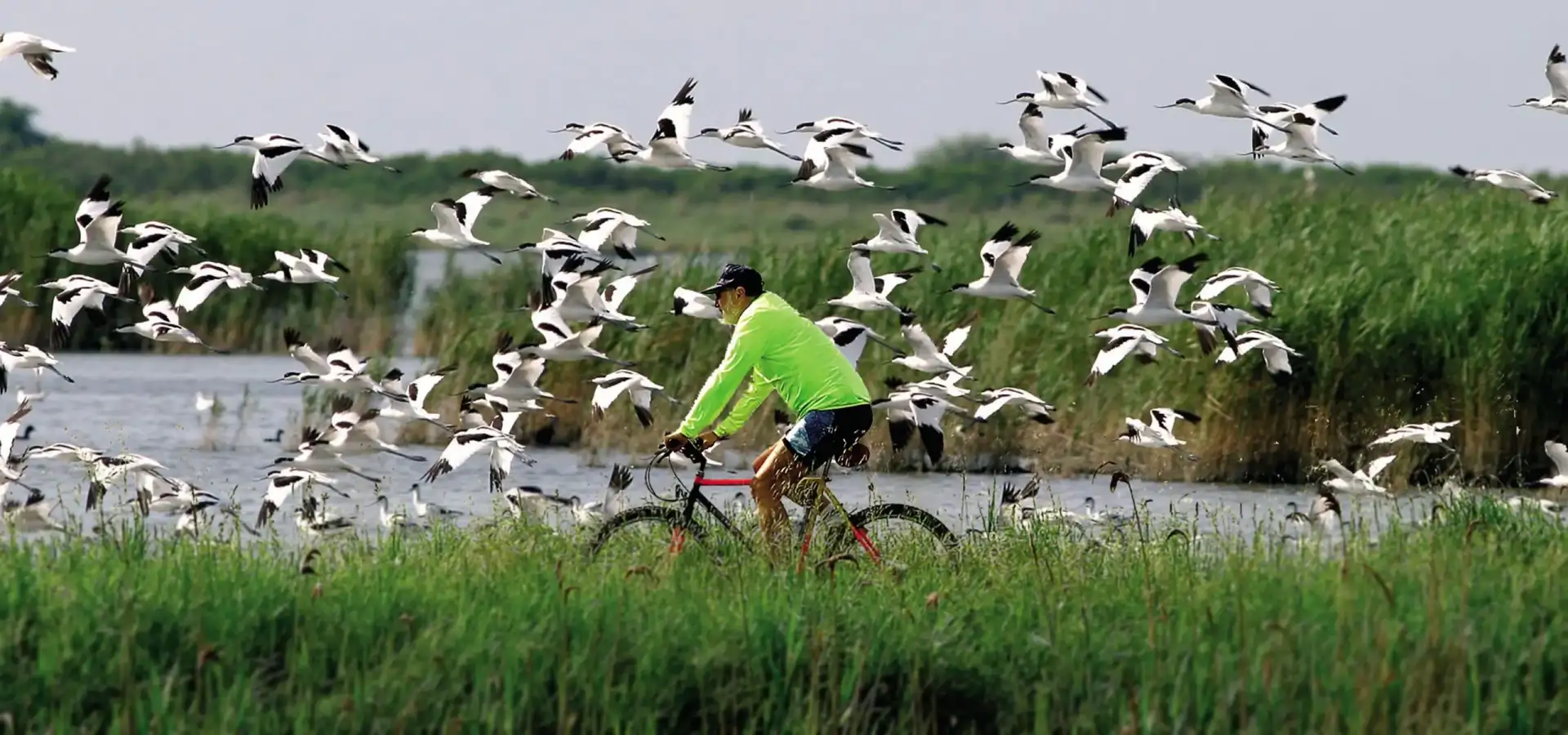Cycling