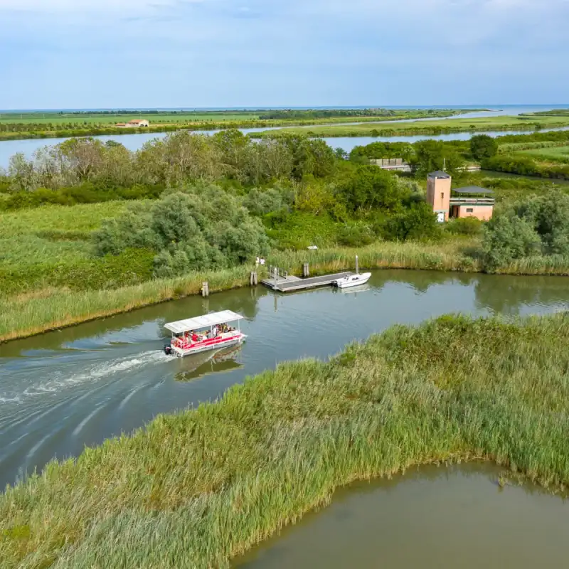 Birdwatching am alten Leuchtturm