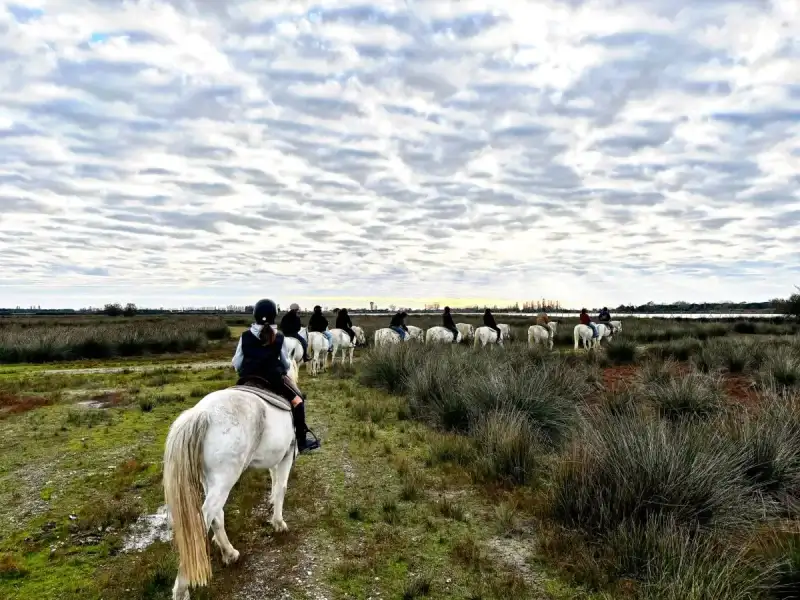 Reiten im Herzen von Po Delta Park