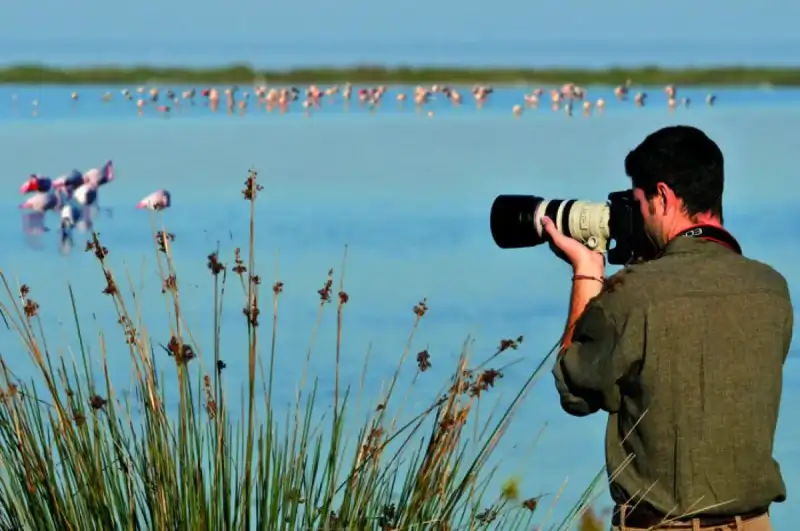 Exklusive Tour für Fotografen und Birdwatcher