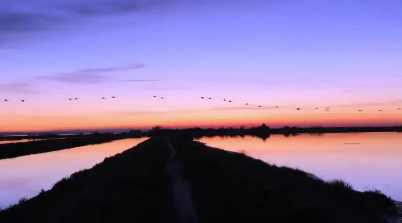 Bike & Boat at sunset: from the Sea to the Lagoons