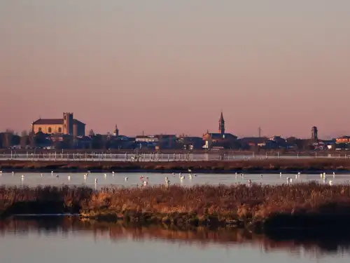 Winter Walk in the Comacchio Lagoons