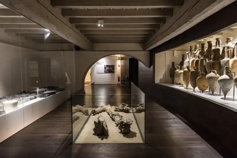 Museo Delta Antico guided tour 