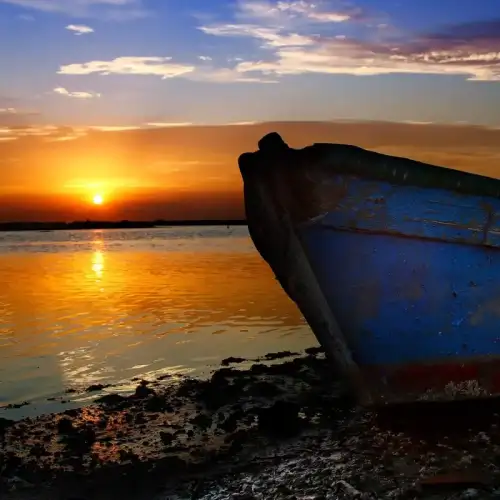 TOUR AT DUSK IN PINE FORESTS, DUNES, AND 