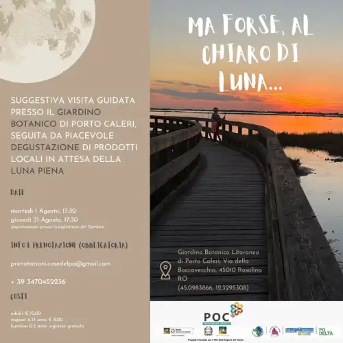 Maybe, in the Moonlight...
