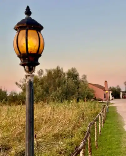 Walking tour in Comacchio Lagoon: Nature and Nativities