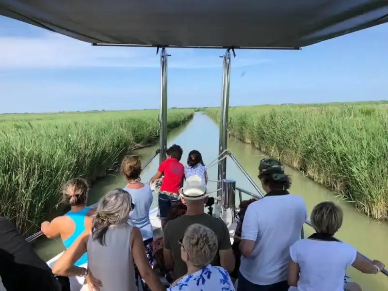 Minicruise between Beaches and Lagoons of the Delta by Albatros Motorboat