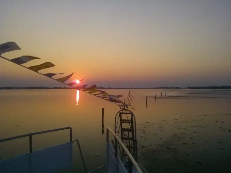 Dinner Cruise in Comacchio's Lagoons at Sunset by Albatros Motorboat