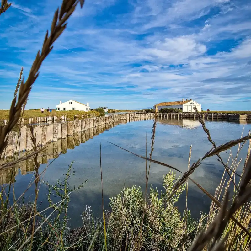 Comacchio Lagoons by Boat
