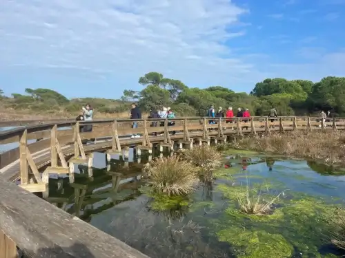 Waldspaziergang am Meer