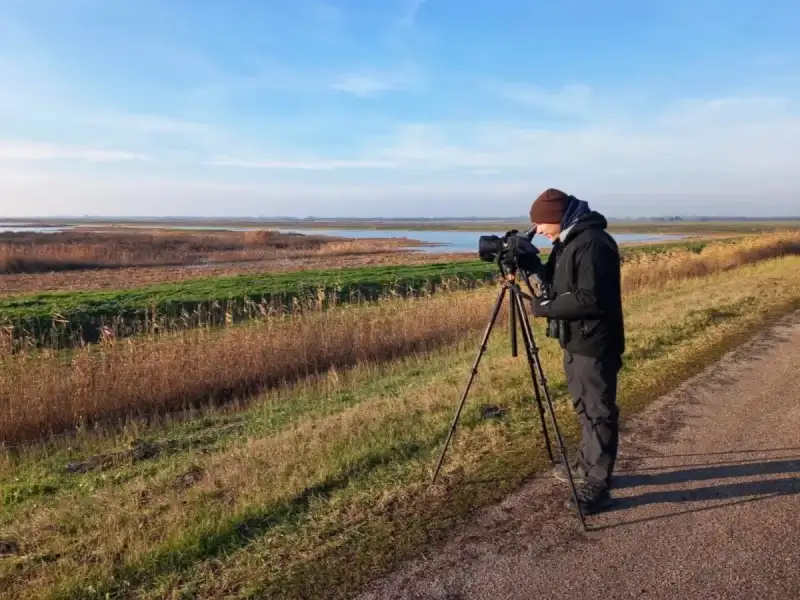 Birdwatching in the Po Delta