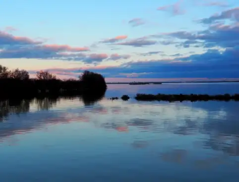  L’anima verde del Delta del Po in primavera