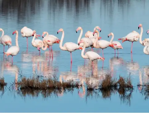 Luci, silenzi e vita nel cuore del Delta