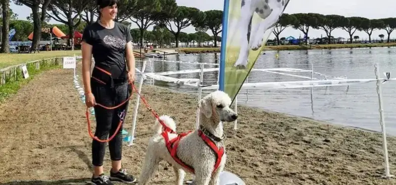Dog Sport Experience 2026