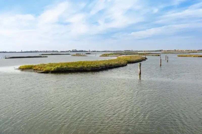 Mit dem Boot vom Meer bis zu den Lagune mit dem Motorschiff Albatros (Nur Navigation) 