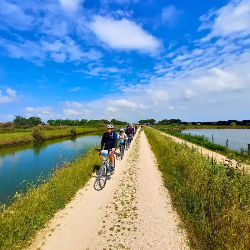 Cycling Among Flamingos, Lagoon and Salt Pans